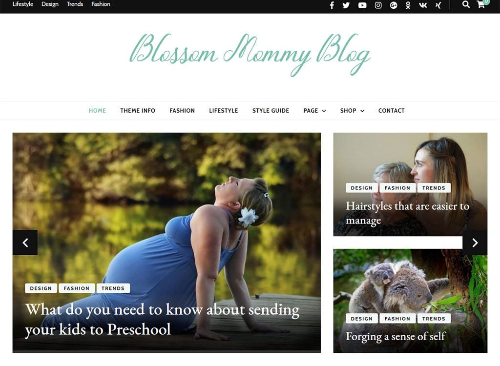 Blossom Mommy Blog Wordpress theme
