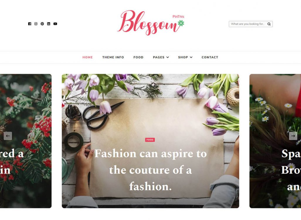 Blossom PinThis Free WordPress Theme
